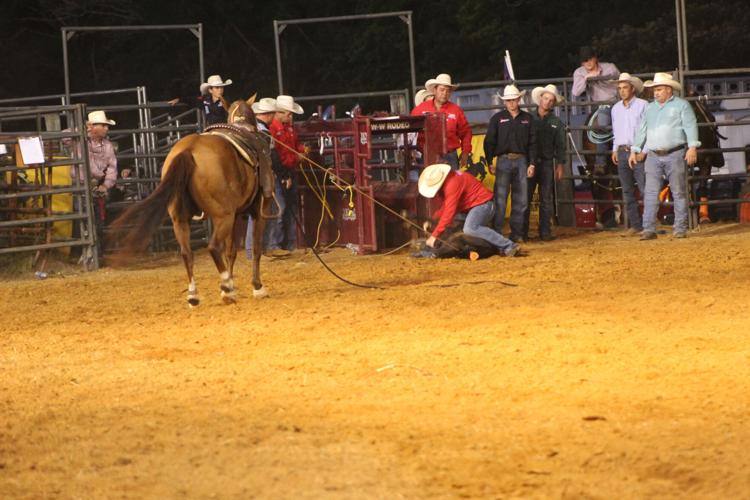 Marion Rodeo 2024 calf