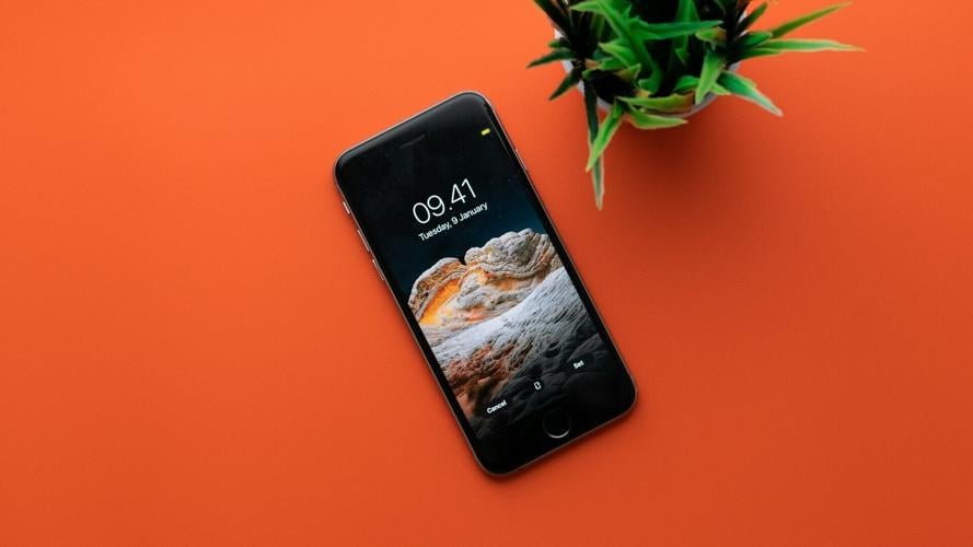 shiwa-id-Bajw65b3mXo-unsplash
