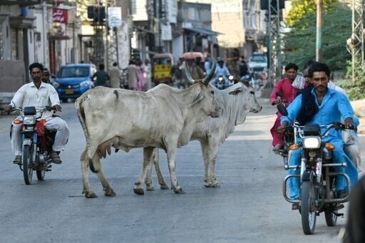 Mithi is unusual in Pakistan in that most of its residents are Hindu