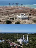 Blogs to Bluesky: social media shifts responses after 2004 tsunami