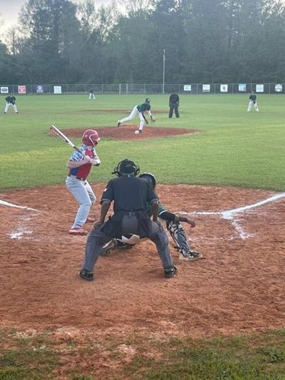 Dallas County High shuts out Verbena