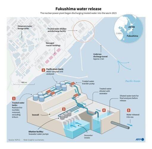 UN watchdog chief visits Fukushima as Japan returns to nuclear power