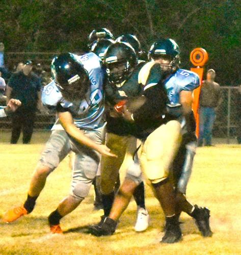 Meadowview loses Homecoming game 56-0