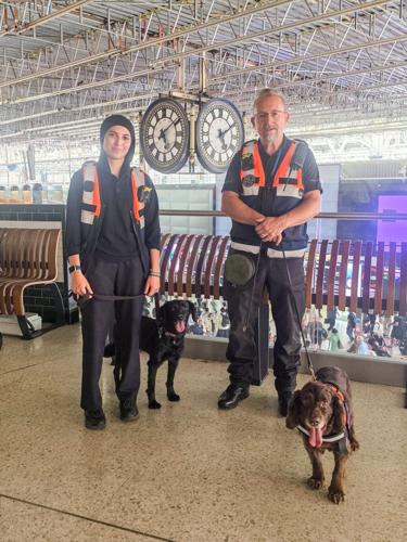 Station becomes first in Britain to put dogs on regular security paw-trols