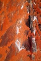 Astronaut captures art museum views of Earth from ISS