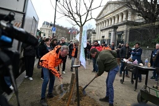 French farmers plant an apple tree in front of the National Assembly in central Paris