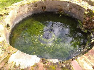 Perine Well at Old Cahawba