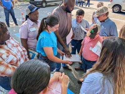 Dallas County 4-H members competing in state livestock judging contest