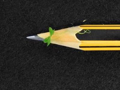 duckweedpencil_featured