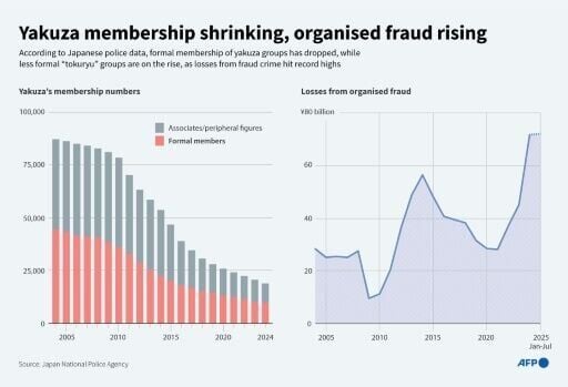 Yakuza membership shrinking, organised fraud rising