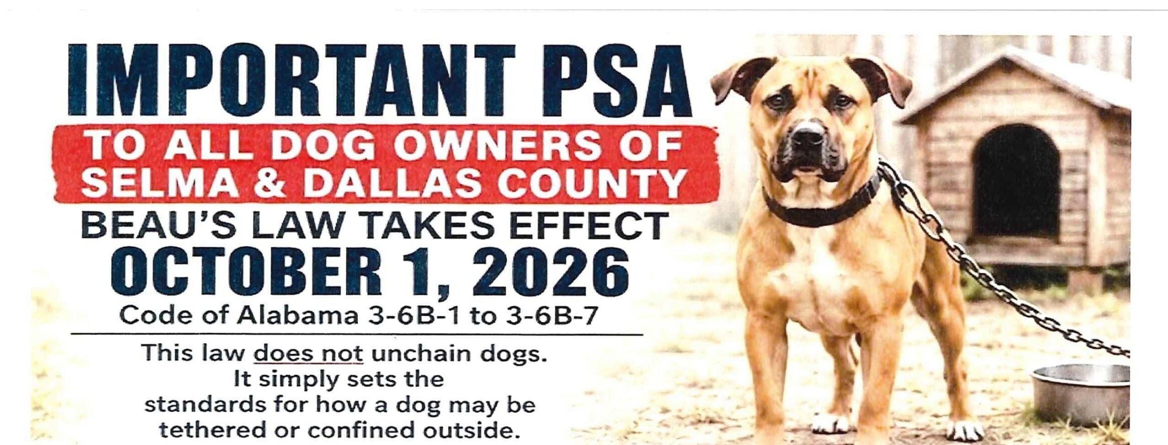 Beau's Law