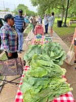 Demopolis Farmers Market to open June 7