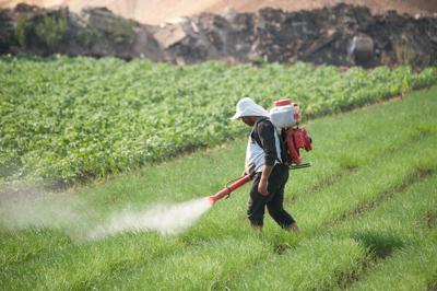 Pesticides stock