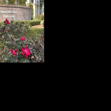 'American Unsung Hero' tells story of author's civil rights activist grandfather from Selma