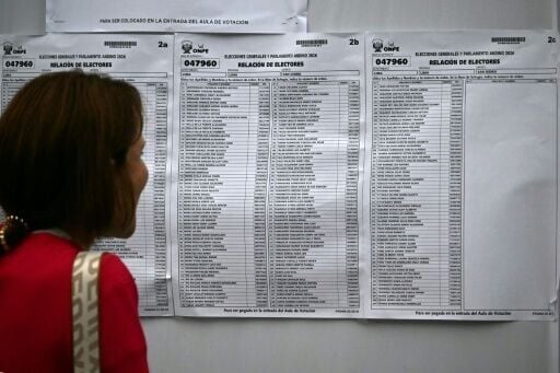 Peru's presidential election is dominated by the issues of crime and instability, with 35 candidates jockeying to become the country's ninth leader in a decade