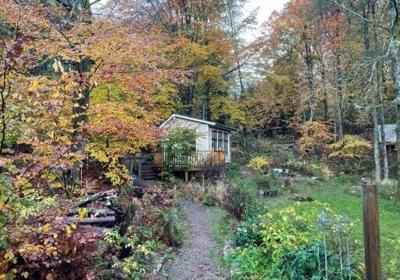 Couples had to spend four days in a cabin and not make noise over 45 decibels