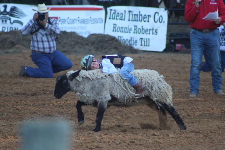 Marion Rodeo draws crowd to Perry County, photo gallery