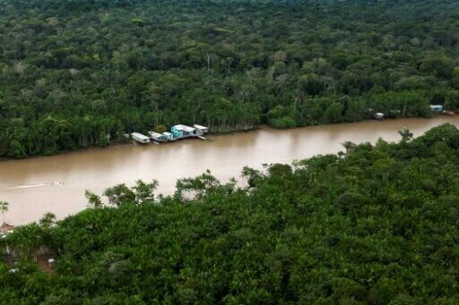 Rubber tappers forge sustainable future in Amazon