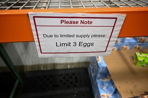 Facing egg shortage, Americans bring chickens home to roost