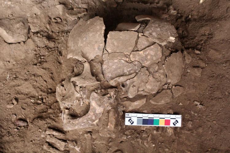 People took mind-bending drugs thousands of years earlier than previously believed