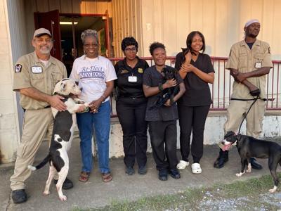 Selma Animal Shelter new leadership
