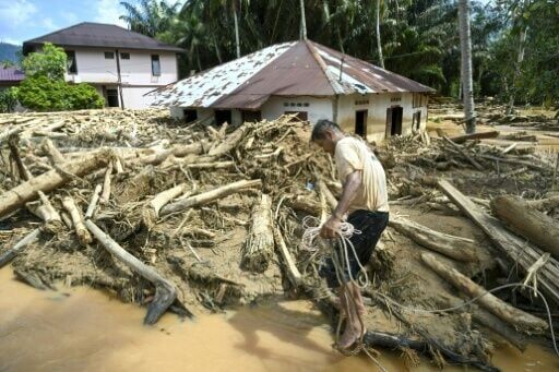 A villager walks among a pile of logs in flood-hit Tukka village in Indonesia