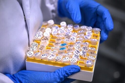 More than 10,000 volunteers across the country are enrolled in the study, overseen by the Indian Council of Medical Research