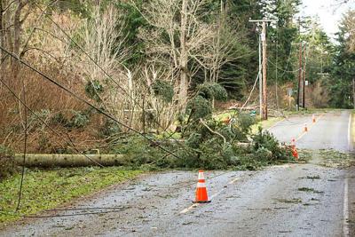1,000 customers without power in Selma