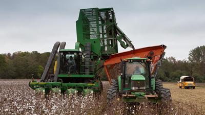 Cotton field farmers tractor stock