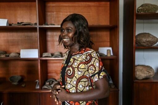 Ivory Coast's epochal prehistoric finds pass unseen