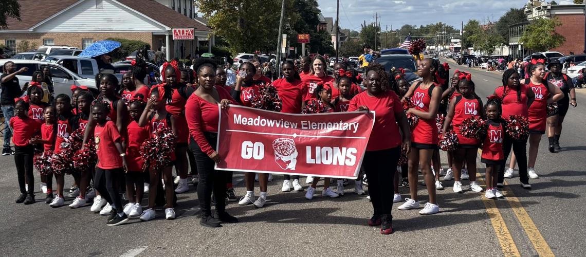 Meadowview Elementary.jpg