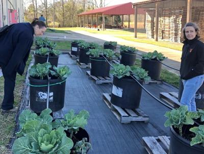 Black Belt Marketing and Innovation Center garden