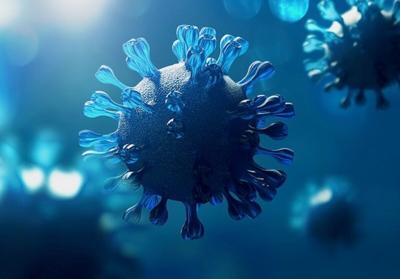 CDC Confirms Another Human Bird Flu Case, Bringing Total to 67