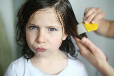Headlice have a high ick factor, but thankfully but these insects aren't dangerous and don't spread disease.
