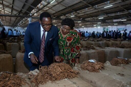 Malawi's debt crisis deepens as aid cuts hurt