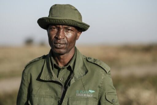 'We will save them': The quest to rescue nearly extinct rhino