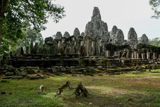 YouTubers causing monkeys to attack tourists at Cambodia's Angkor Wat