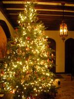 Wilcox Chamber of Commerce taking vendor applications for Christmas in Camden