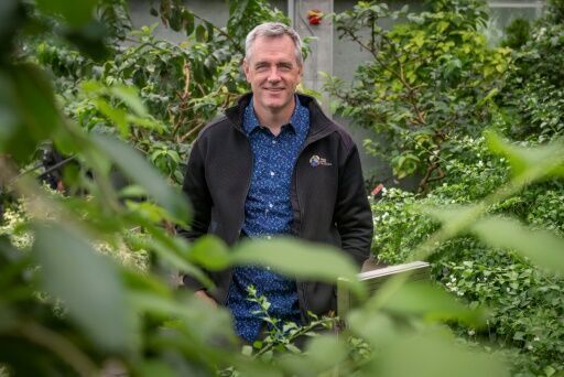 Canada AI project hopes to help reverse mass insect extinction