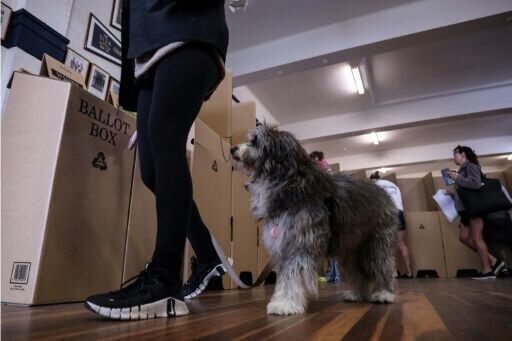 Left-leaning PM Albanese triumphs in Australian election