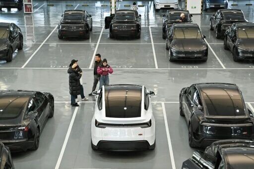 'No need to overthink': China Tesla fans unfazed by Musk politics