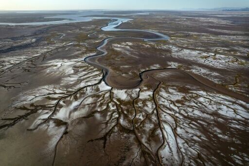 Once-dying Mexican river delta slowly nursed back to life