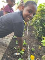 Main Street Marion 2021 Year in Review