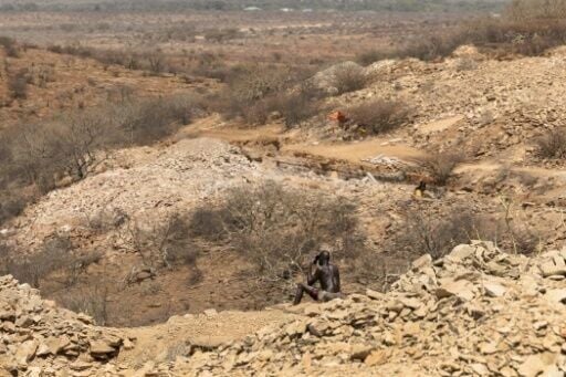 East Africa generally accounts for more than two-thirds of global cases according to the World Health Organization