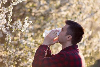 How to Treat Spring Allergies: A Graduated Approach