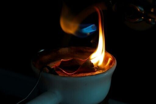 Disaster-hit Chilean park sows seeds of fire resistance