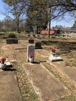 City agrees to takeover cleanup of Lincoln Cemetery after urging from advocate Lemarkus Snow