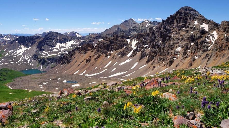 Aspen- Summer