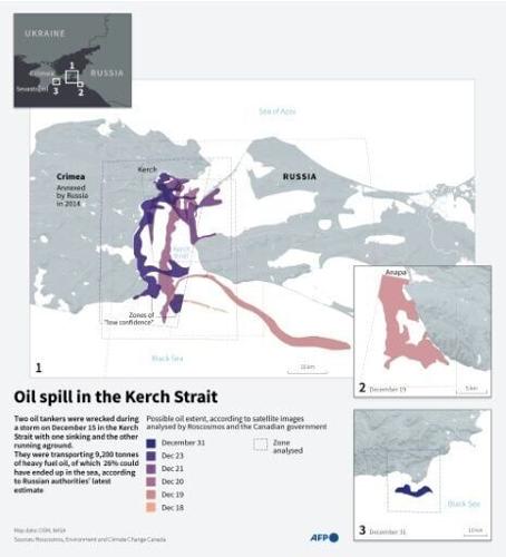 Dozens of marine mammals found dead after Russian oil tanker spill