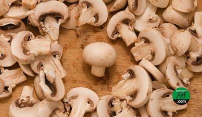 mushrooms_2024